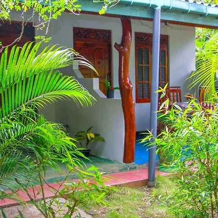Sun Flower Homestay Sigiriya Buitenkant foto