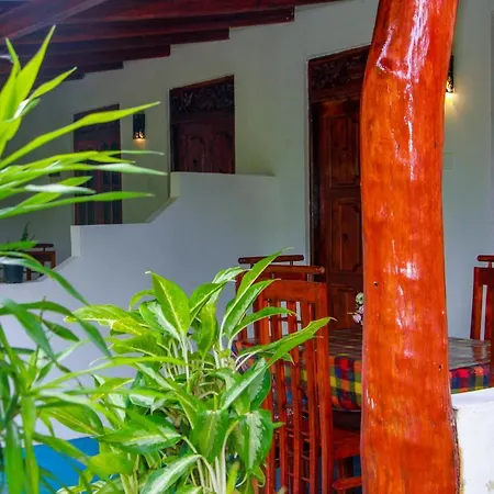 Sun Flower Homestay Sigiriya Buitenkant foto