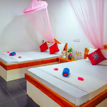 Sun Flower Homestay Sigiriya Buitenkant foto