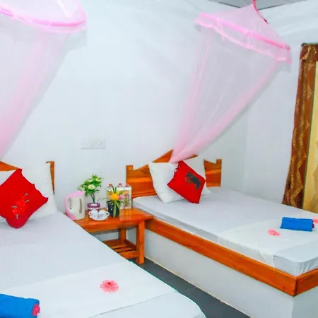 Sun Flower Homestay Sigiriya Buitenkant foto
