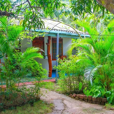 Sun Flower Homestay Sigiriya Buitenkant foto