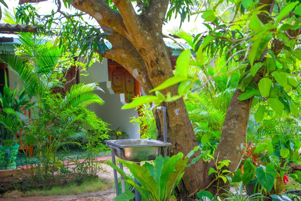 Accommodatie bij particulieren Sun Flower Sigiriya