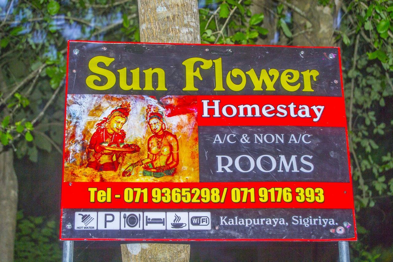 Sun Flower *